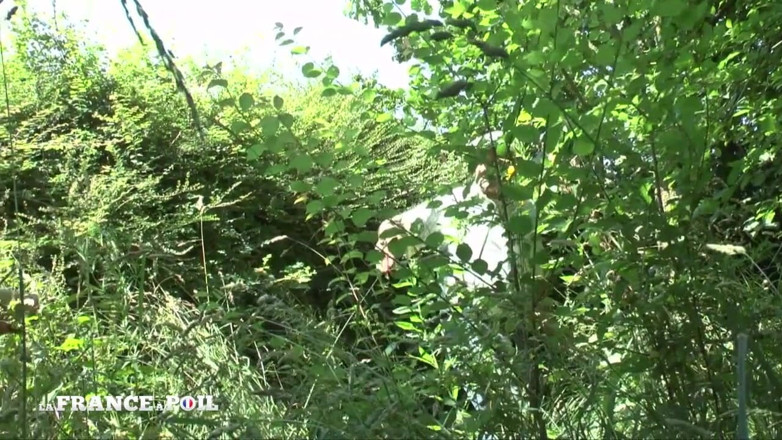 La France a Poil: Milf gangbangovaná se dvěma starými zvrhlíky venku