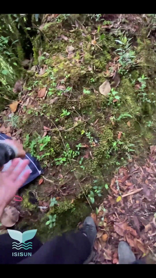 Isis Sun: Ik neuk een studiepartner in het bos en neuk uiteindelijk...