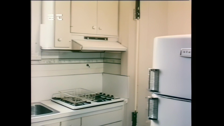 Vintage Megastore Full hd: Офіціант сексуального клієнта