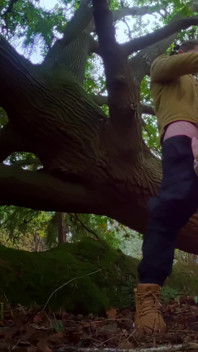 Getting My Cock Sucked in the Woods