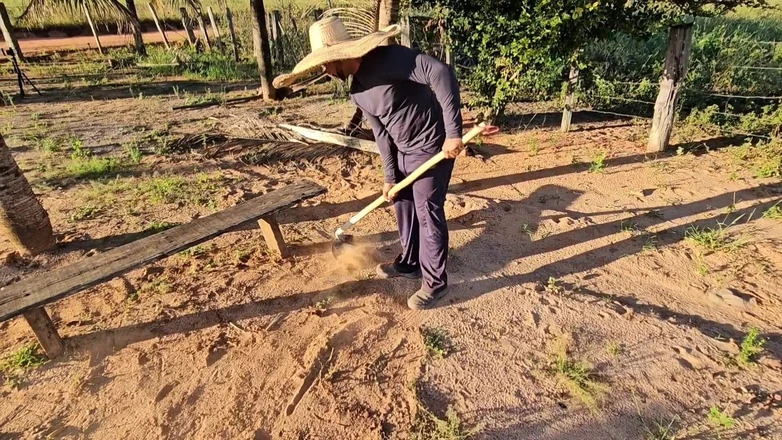 Lorrany exotica: I Saw My Neighbor Win Yard in the Hot Sun...