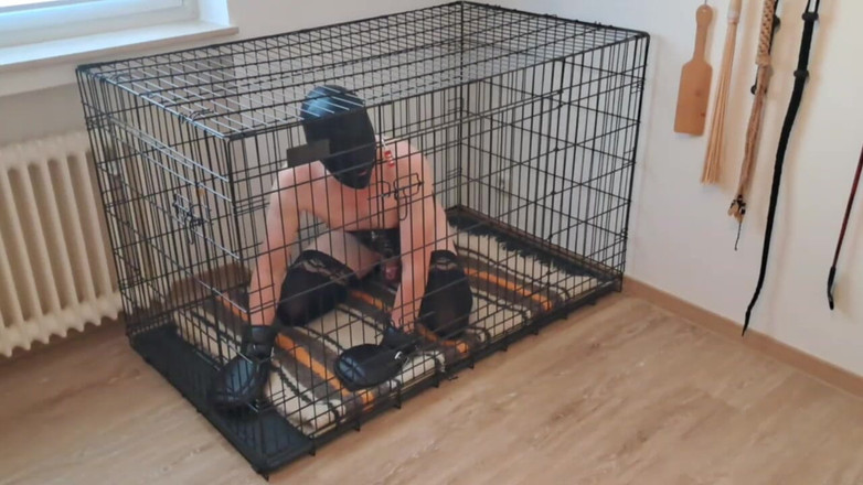Lucy Dee: Blindfolded Caged Sissy Slave - Locked Away While Mistress Enjoys Her...