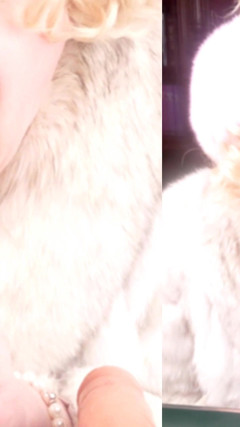 Transfurlady Gives Double Blowjob in Bluefoxfurcoat