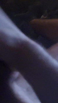 Domácí masturbace