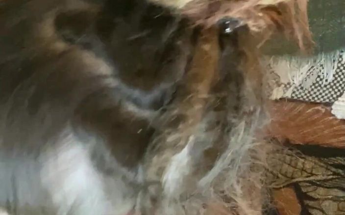 Olivia Jarden: Pt 2 of Me in Sexy Thigh High Lingerie, Drooling All...