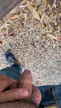 Peeing in the Garden