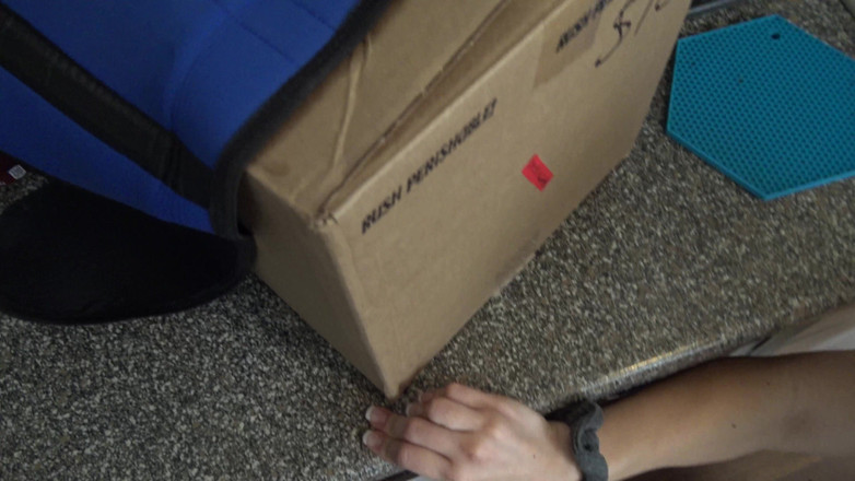 Shaundam: Dicklivery