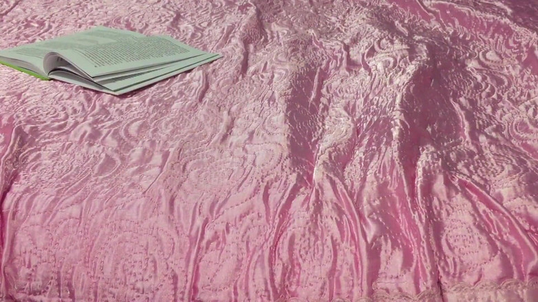 Lux Eva: 18 -årig student upphetsad när man läser en bok