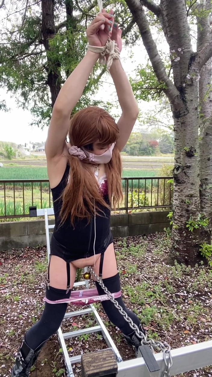 megu2002: No. 178: Cherry Blossoms and Chain Play, Part 2