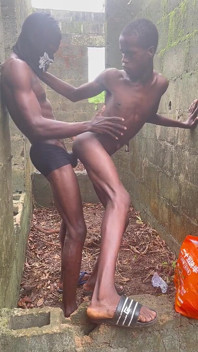 Bush Meat