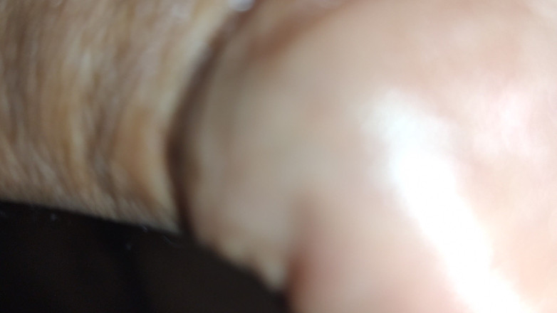 PABLO N3GROBAR: Musim 4 - 50 Nuansa Kuda Poni