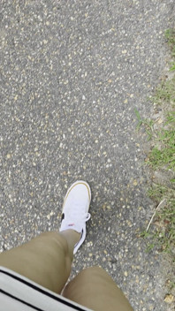 Like My Nikes
