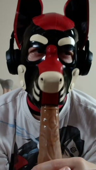 Latex Pet Sucks His Rubber Bone. Watch the Full on My Fancentro