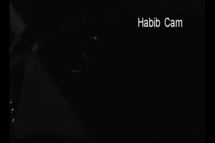 The Habib Show: Milf vieja de la universidad - azada en video completo