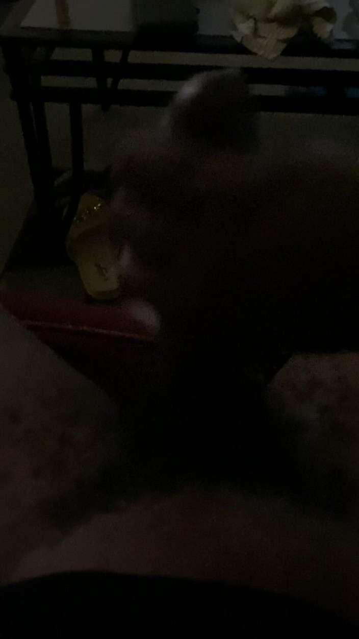 Willy wonka studio: Kirk Big Deal