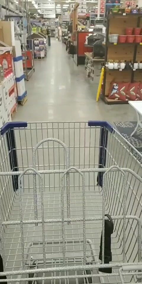 Annabelle Rogers: Mostrando minha buceta molhada