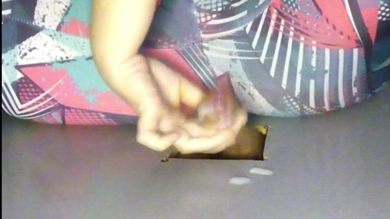 Sexoamateur: haindajob glorihol
