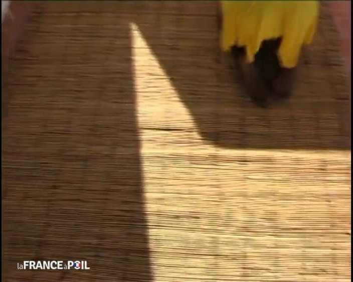 La France a Poil: セクシーな黒人スラットがチンコと膣を愛する