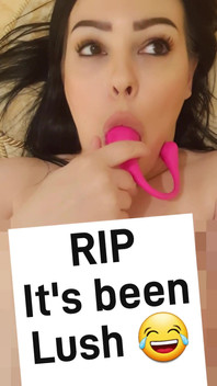 (nové) Použitá Lovense Lush 3 na My Market Place Shop