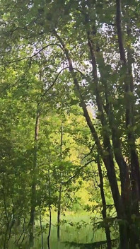 Sweet Twink Sucked off a Stranger with a Big Dick in the Forest