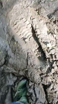 Mud Fun in Rubber Camo Wellies