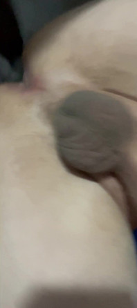 White Bussy