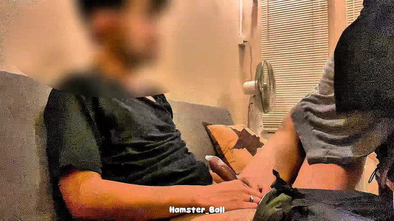 Hamster_Ball: kandom pahnen! to tum garbhavti nahin ho! meri khoobsoorat hijaabi...