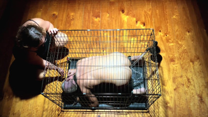 Mistress April: Life at her feet - Part 3 - Dominatrix Mistress April