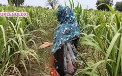 Komal Fuck by Malik While Working in the Field