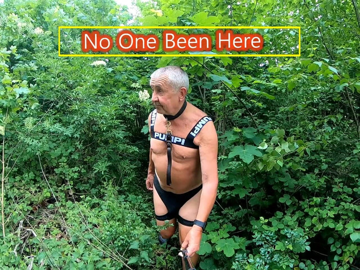 Andy: Прогулка 30 2025