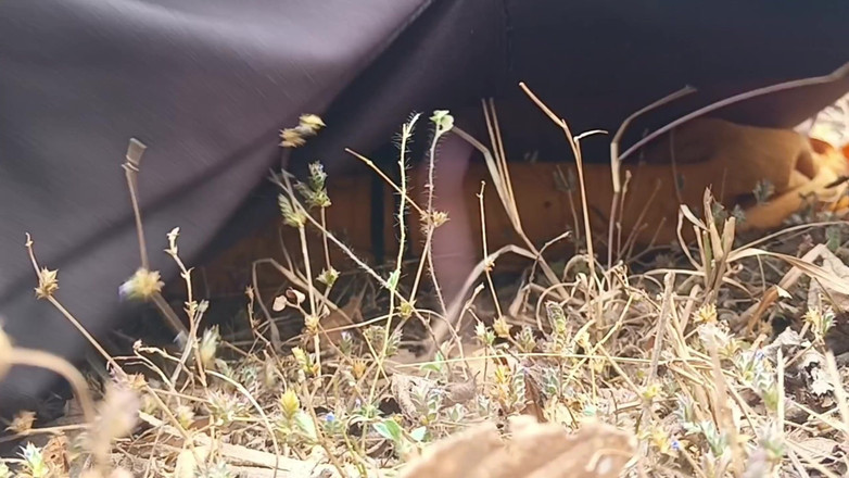 Riyadesi18: Stalo se v džungli se švagrovou Chudai