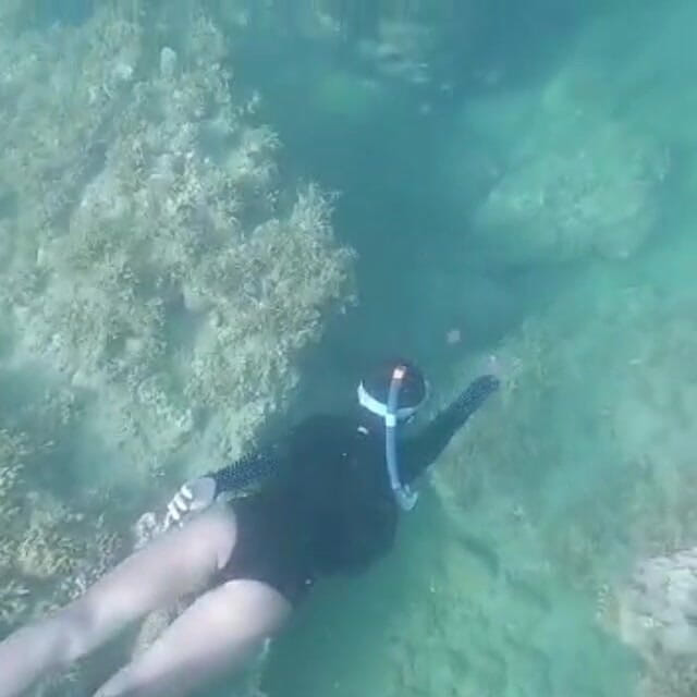 creamberryfairy: Ima La sirène