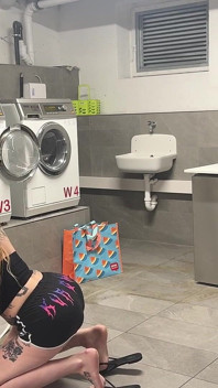Two Big Dogs in the Laundromat