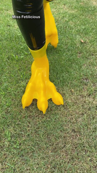 Expectation Walking on Majestic Silicone Paws. Reality Me Trying Not to Faceplant in the Grass While Filming