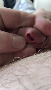 Volo Di Telecamera Sopra La Pancia Pelosa Dell'orso