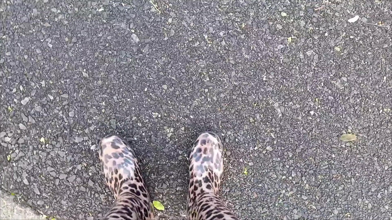 Kinky Lyrical: Long Walk in Gumboots by Kinkylyrical