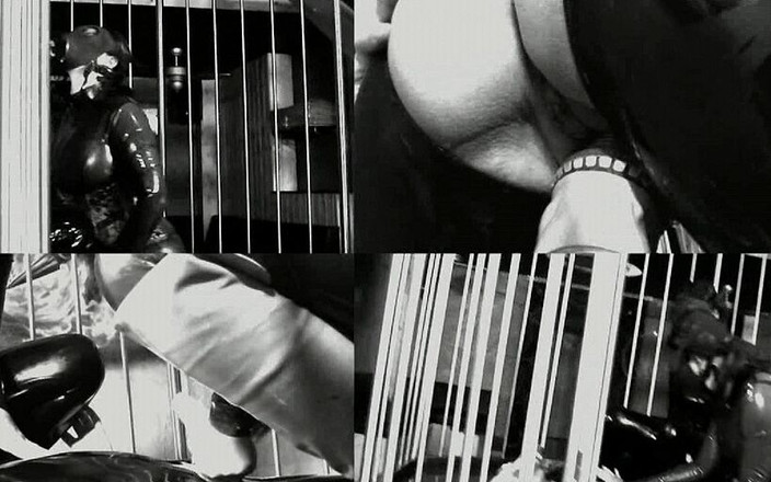 Deutsche Dominanz: Femdom - cewek domian dengan baju lateks