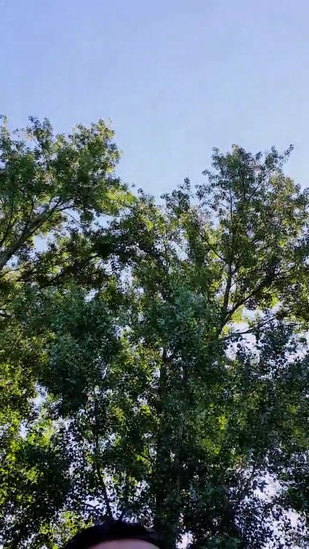 Slutboyben: 暴露狂女王