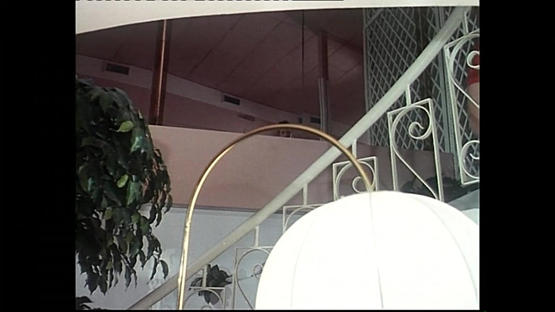 XTime Vod: 노티 매직콘 안젤리카 벨라