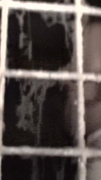 It's Throwback Thursday! Remember to Always Use the Cum Bucket
