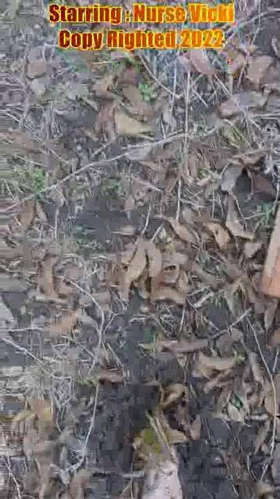 BBW nurse Vicki adventures with friends: Velká kráska jde bosa blátem rozmačkat POV