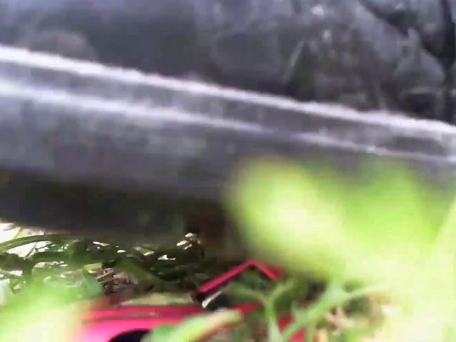 Awesome Crushing Video Watches My Feet Smash a Small Toy Car (Nicoletta Fetish)