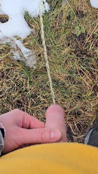 A Bit Risky Peeing - POV Outdoor Male Pee During a Nature Walk