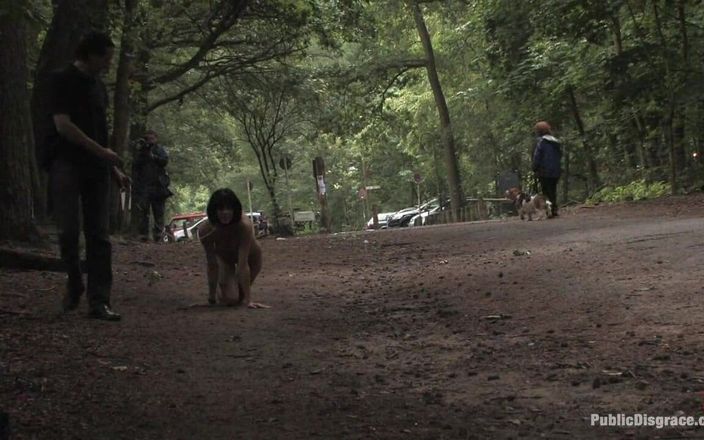 Public Disgrace by Kink: The Dog Walk