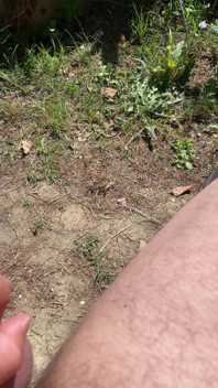 Horny Outdoor