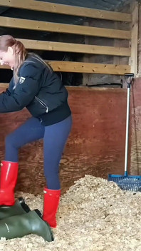Çizmeler taşaklara karşı, son derece sert avcılar Wellingtons ahırda eziyor