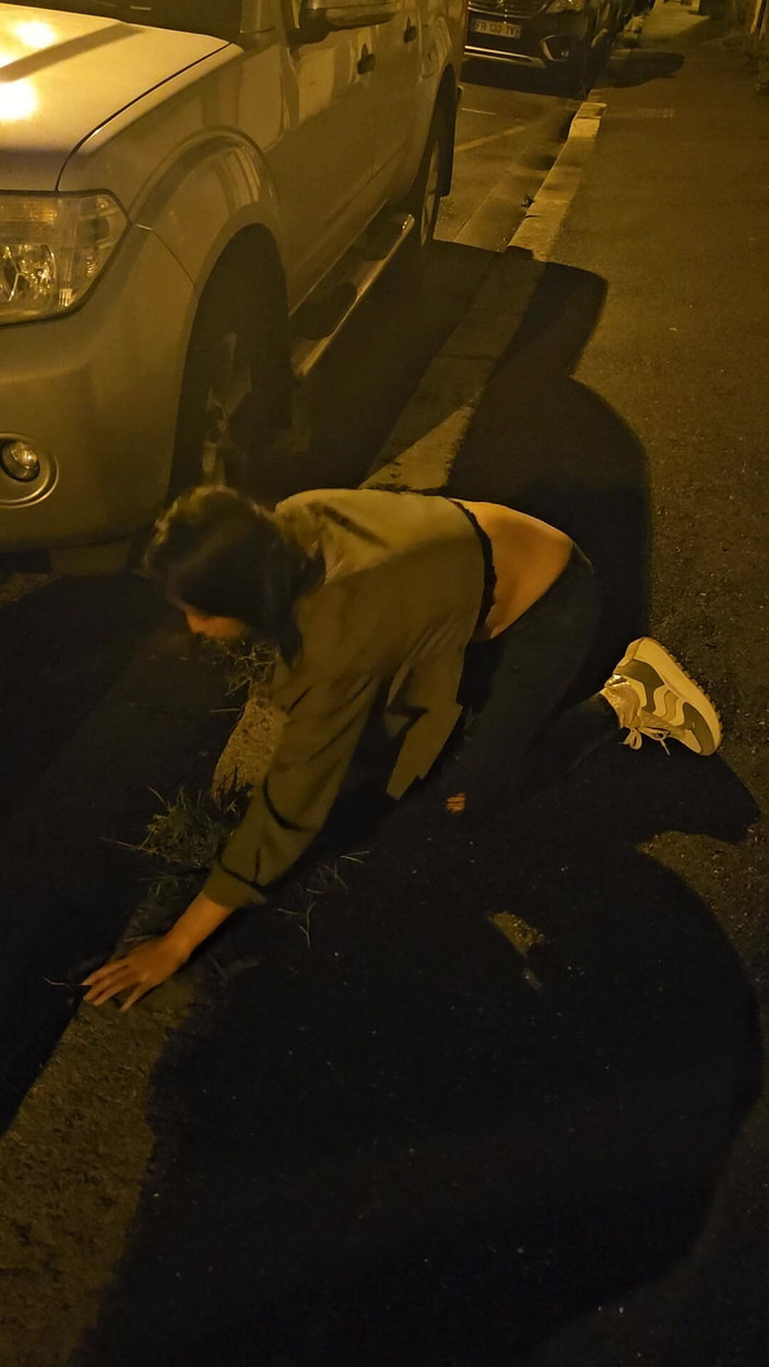 J and rose: Frumoasa curvă pet