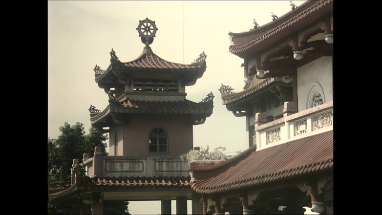 MMV Films: 复古的张开，舔阴和肛交在大鸡巴上