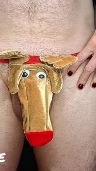 แตกใส่ขนมช็อกโกแลตเรนเดียร์คริสต์มาส (milking-time)