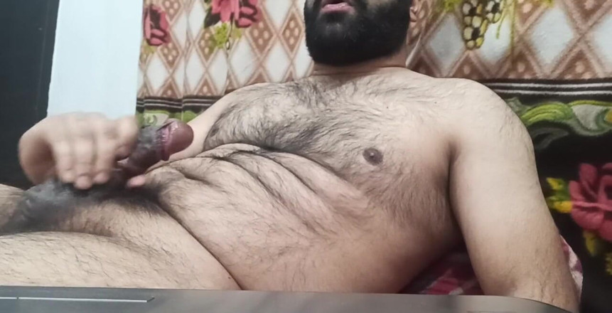 BibearXXX: BibearXXX 44